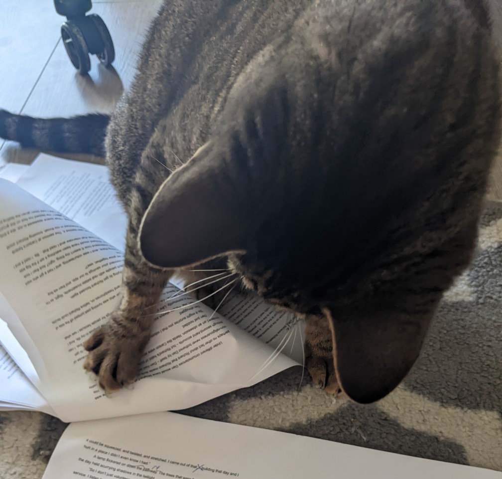 Hopper editing my work